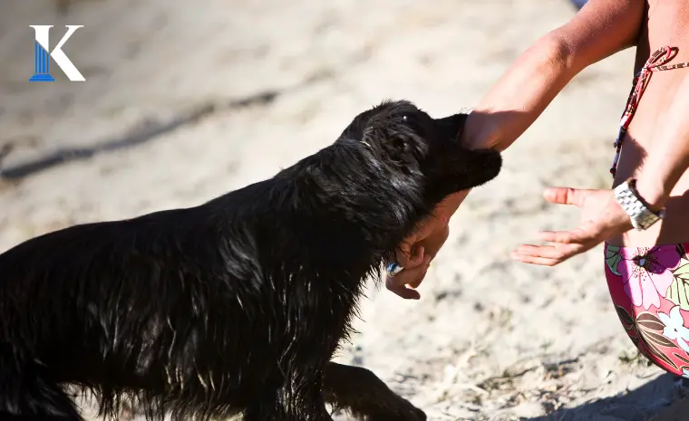 dog bite in California