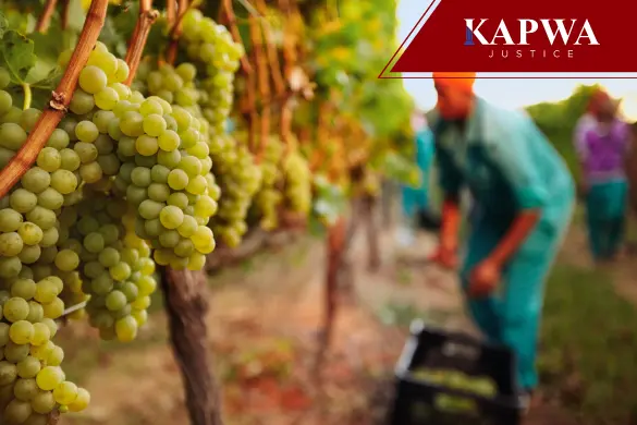 Filipino farmworkers